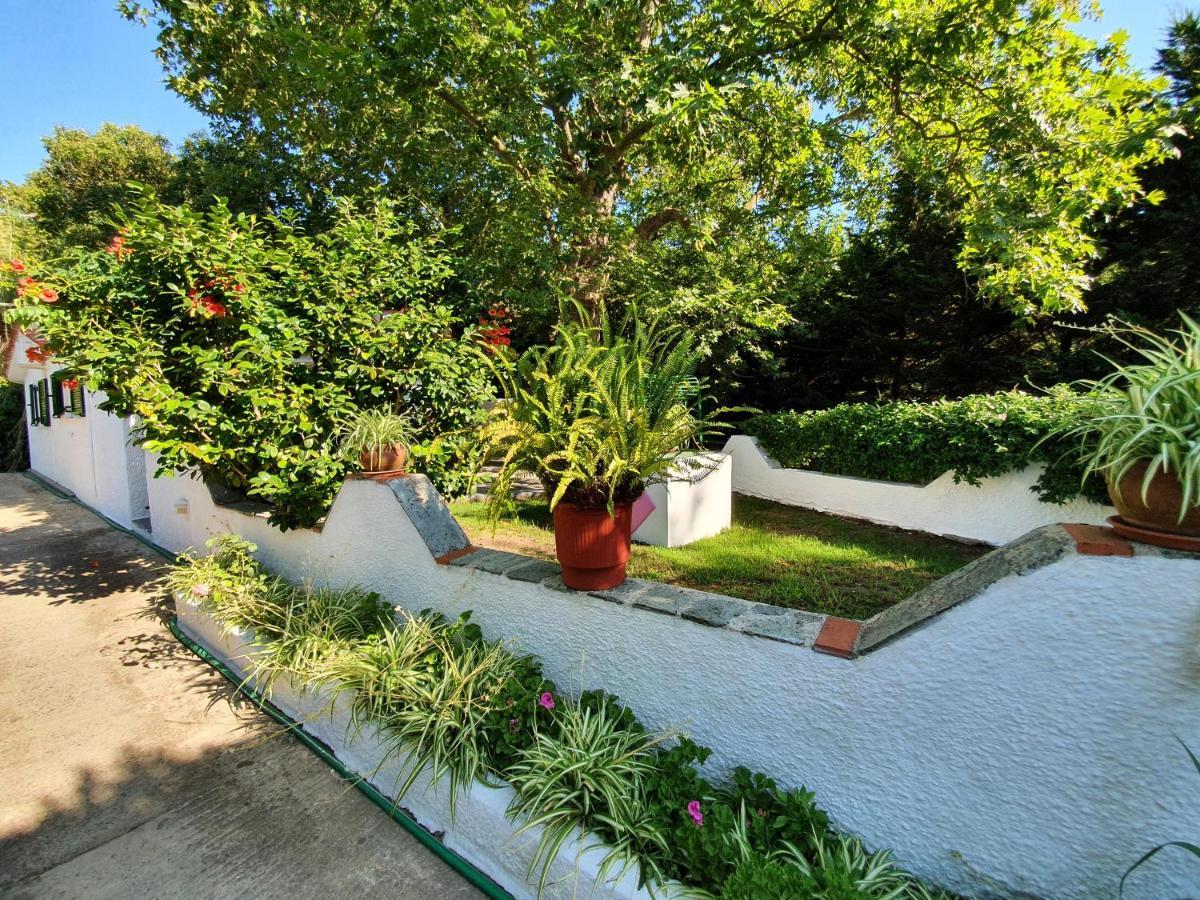 Dionisos Studios And Apts Skiathos Koukounaries Exterior foto