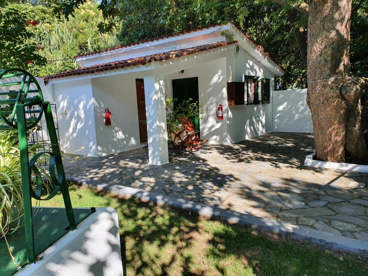 Dionisos Studios And Apts Skiathos Koukounaries Exterior foto